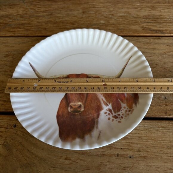 Longhorn Steer 9" Melamine Plates, Ranch Tableware, Set of 4 - Picture 6 of 6